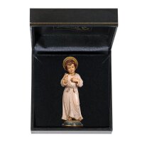 Jesus - Child with case