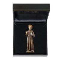 St. Francis with case
