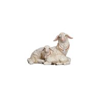 KO Sheep lying with lamb