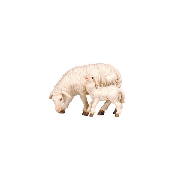 KO Schaf äsend mit Lamm