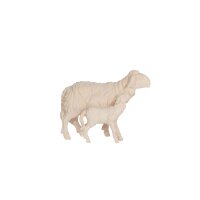 KO Schaf+Lamm stehend