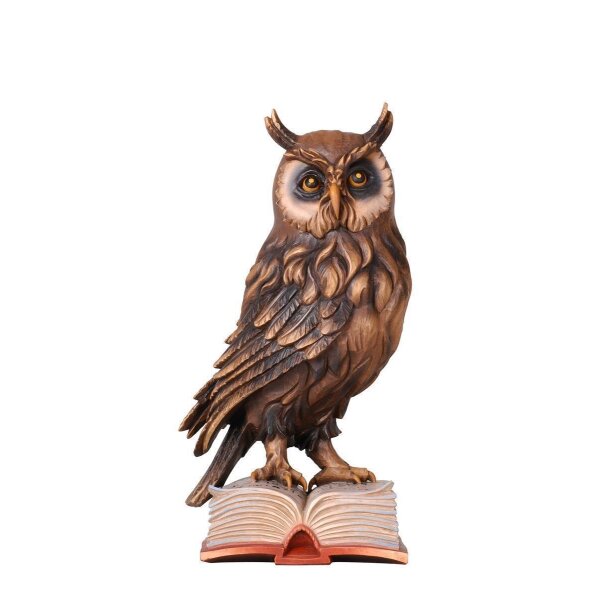 Owl on book - colored - 4 inch