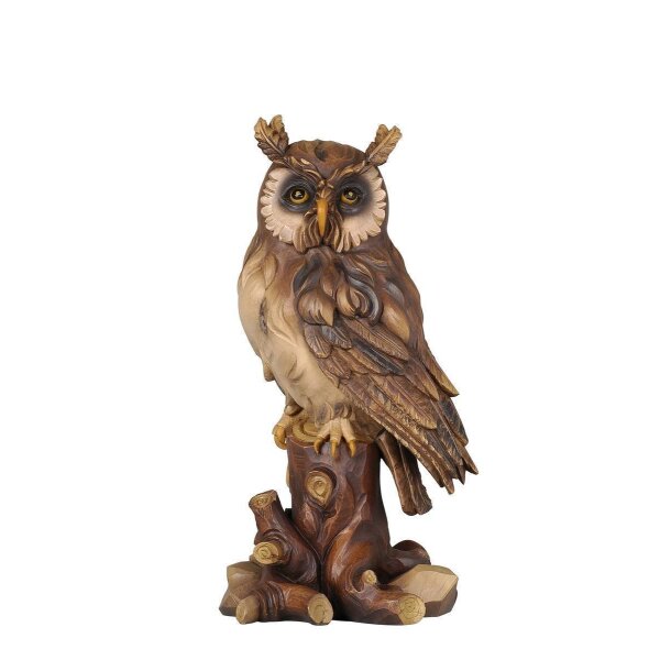 Owl on tree-trunk - colored - 4 inch
