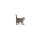 RA Gatto in piedi - colorato - 15 cm