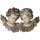Couple of Angelheads baroque - color - 5&frac12; inch