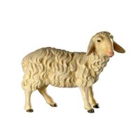 Sheep - color - 11 inch