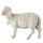 Sheep with bell - color - 11 inch