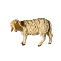 Sheep - color - 11 inch