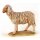 Sheep standing - color - 8 inch