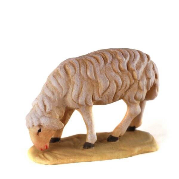 Sheep grazing - color - 8 inch