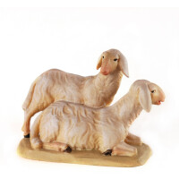 Sheepgroup - color - 8 inch