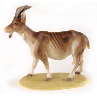 Goat - color - 8 inch
