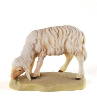 Sheep grazing - color - 8 inch