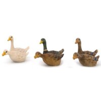 goose group swimming - color - 5,1 inch