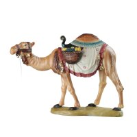 Camel - color - 9,8 inch