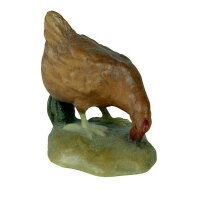 Hen picking new     for - color - 10 inch