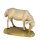 Sheep grazing - color - 6¼ inch