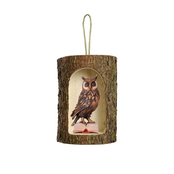 Owl on book in tree trunk hanging - colored - 2 inch