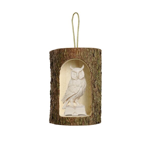 Owl on book in tree trunk hanging - natural wood - 2 inch