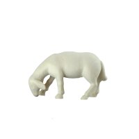Sheep grazing - color - 6 inch