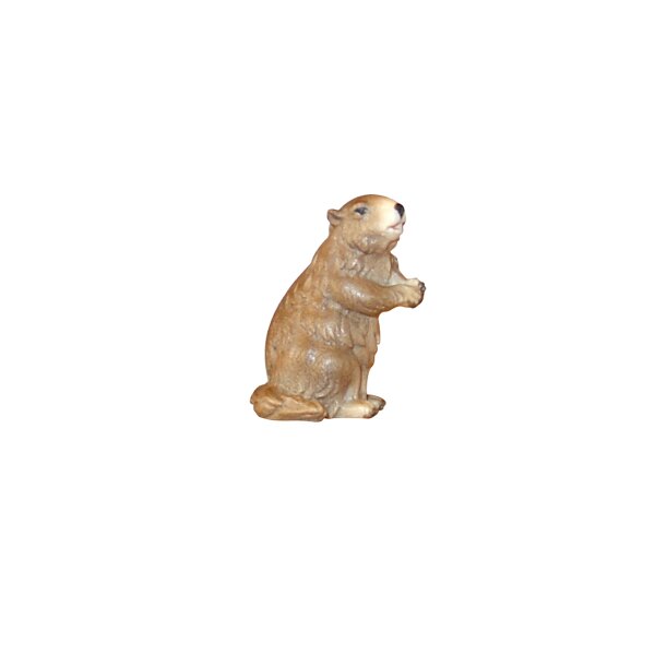 Marmotta - colorato - 5 cm