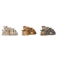 Catgroup - color - 2¾ inch