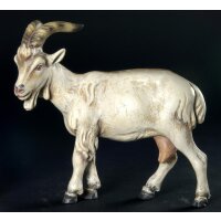 Goat - head left