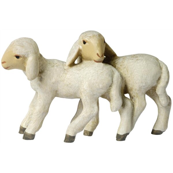 Coppia di agnelli