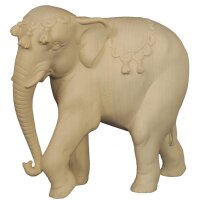 Elefant (ohne Elefantentreiber)