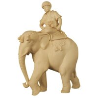 Elefant mit Reiter