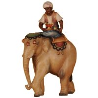 Elefante con servitore