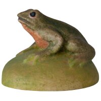 Frog on a stone