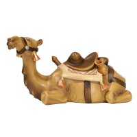 Camello sdraiato