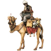 Kamel mit Gepäck und Reiter sitzend