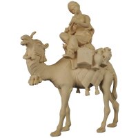 Kamel mit Gepäck und Reiter sitzend