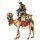 Camel with luggage and driver sitting