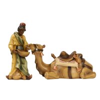 Kamel mit Treiber