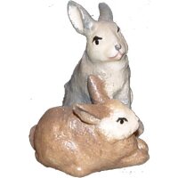 Rabbit couple