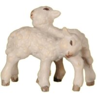 Group of lambs standing