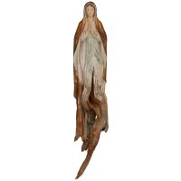 Our Lady of Lourdes root