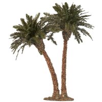 Palm tree, double