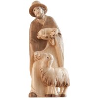 Shepherd with salt sheep and lamb