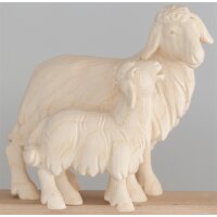 Schaf mit Lamm