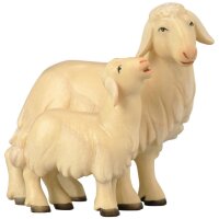 Pecora con agnello