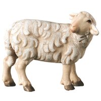 Schaf stehend zurückschauend