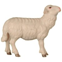 Schaf zu Fütterer - gerade