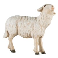 Schaf zu Fütterer links