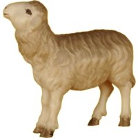Sheep left of the Shepherd