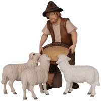 Schaffütterer mit drei Schafen