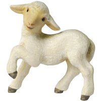 Lamb - paw up